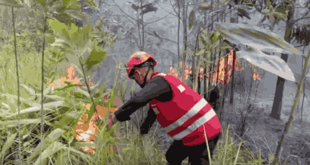 Respon Cepat, Batalyon A Pelopor Brimob Kaltim Padamkan Karhutla di Sepinggan