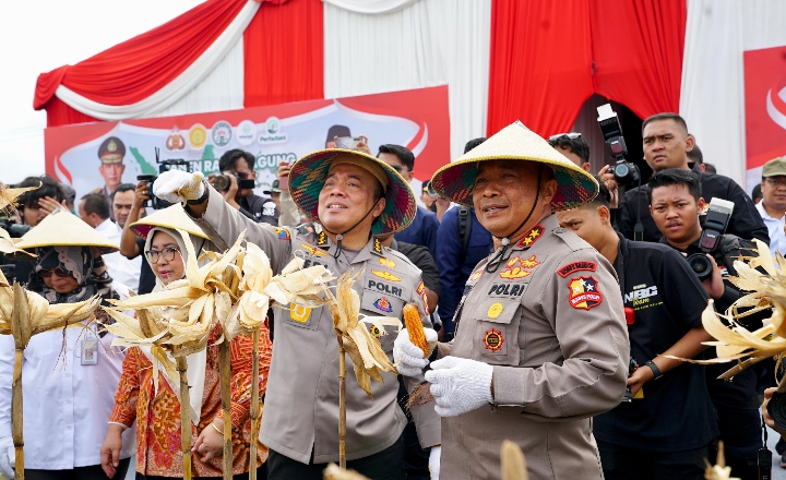 Irwasum Polri Pimpin Panen Jagung Serentak di Madiun, Wujudkan Astacita