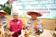 Dukung Program Kemandirian Pangan, Polda Kaltim Gelar Panen Raya Jagung Serentak Kuartal III Tahun 2025