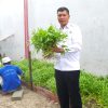 Lapas Kelas IIA Balikpapan Panen Kangkung, Wujud Nyata Dukungan terhadap Program Ketahanan Pangan Nasional