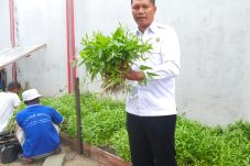Lapas Kelas IIA Balikpapan Panen Kangkung, Wujud Nyata Dukungan terhadap Program Ketahanan Pangan Nasional