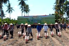 Polda Kaltim Dukung Ketahanan Pangan Nasional, Kembangkan Lahan Jagung hingga Pascatambang