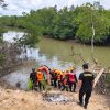 Tragedi di Sungai Selok: Personel Brimob Kaltim Temukan Potongan Tubuh Korban Terkaman Buaya di Kariangau