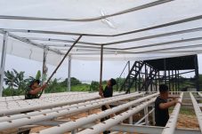 Mulawarman IFS Kembali Gairahkan Budidaya Hidroponik untuk Ketahanan Pangan