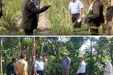 BPR Bhapertim Cabang Kepung Digugat Nasabah, Diduga Lelang Tanah Tanpa Izin
