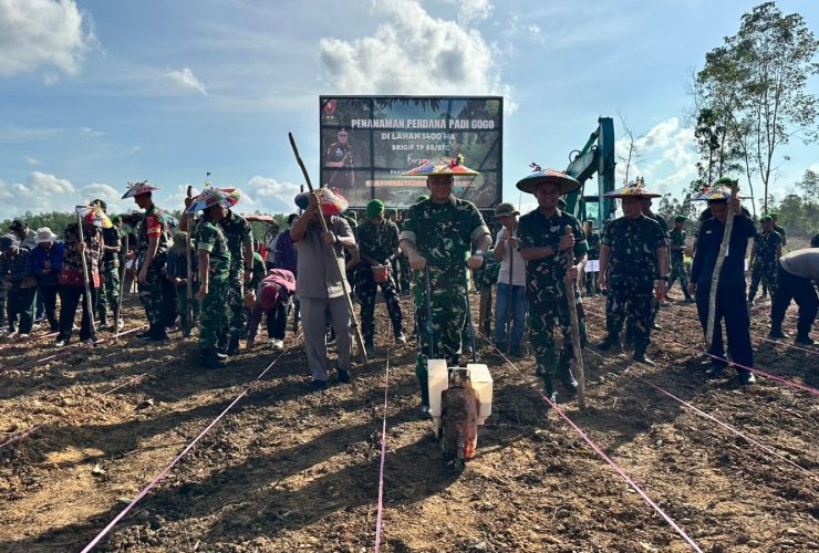 Pangdam VI/Mulawarman Tinjau Penanaman Padi Gogo di Kutai Barat