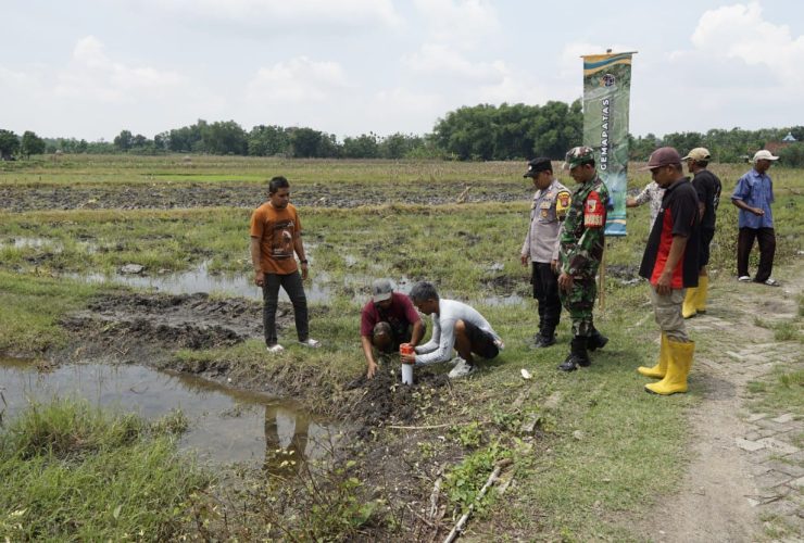 ATR/BPN Bojonegoro Gencarkan Gerakan Pasang Patok, Warga Diajak Hindari Sengketa Tanah