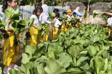 Kegiatan Edukatif: Murid TK Kemala Bhayangkari Panen Raya di P2L Batalyon B Brimob Samarinda