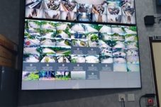 Pemkab Kutim Sediakan Akses CCTV Publik untuk Warga, Dukung Penerapan Smart City