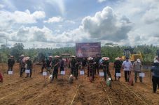 Sinergi TNI AD dan Petani di BIFA 1.400 Ha: Pangdam VI Dampingi Danpussenif Tanam Padi Gogo di Kutai Barat