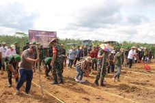 Danpussenif TNI AD Tinjau dan Tanam Padi Gogo di Borneo Integrated Farming Area 1.400 Ha Brigif TP 85/BTC