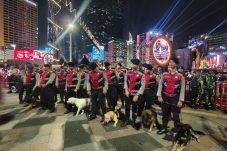 Baharkam Polri Kerahkan K-9 Jaga Keamanan Perayaan Tahun Baru di HI
