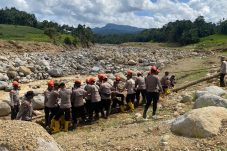 Pemulihan Akses Warga, Brimob Jambi Bangun Jembatan Darurat Antar Desa Kampung Tengah Timur dan Padang Landua
