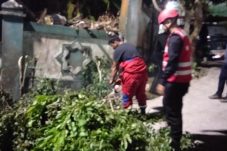 Quick Respon, Batalyon A Brimob Kaltim Bantu Evakuasi Pohon Tumbang di Komplek PGRI Balikpapan