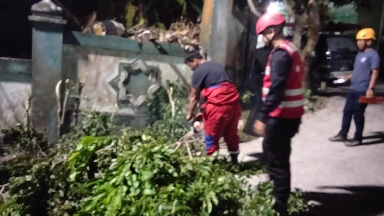 Quick Respon, Batalyon A Brimob Kaltim Bantu Evakuasi Pohon Tumbang di Komplek PGRI Balikpapan