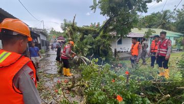 Pohon Tumbang Tutup Akses Jalan Gn. Bakaran , Batalyon A Brimob Kaltim Cepat Bantu Evakuasi