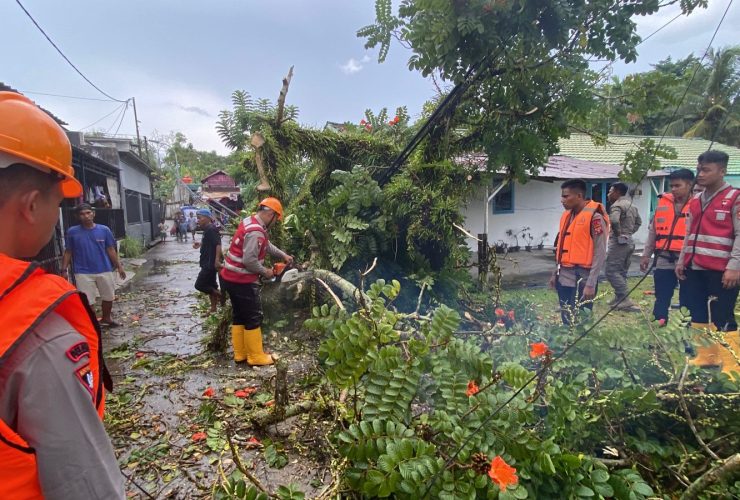 Pohon Tumbang Tutup Akses Jalan Gn. Bakaran , Batalyon A Brimob Kaltim Cepat Bantu Evakuasi
