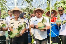 Lapas Kelas IIA Balikpapan Gelar Panen Perdana Melon di Sae Farm Green House