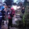 Pohon Tumbang di Balikpapan Utara, Brimob Polda Kaltim Bergerak Cepat Amankan Lokasi