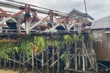 Brimob dan Masyarakat Kompak Revitalisasi Jembatan di Kel. Damai Balikpapan