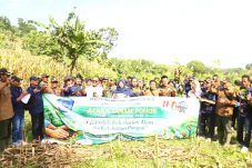 Aksi Nyata HPN 2026, PJI Bojonegoro Hijaukan Hutan Rawan Banjir