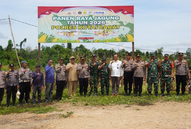 Panen Raya Jagung di Kutai Barat, TNI-Polri Perkuat Ketahanan Pangan Daerah