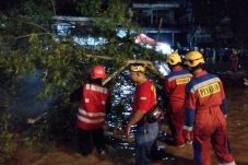 Brimob Tangani Cepat Kasus Pohon Tumbang dan Banjir di Jl. MT Haryono Balikpapan
