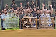 Pelepasan 100 Burung di Skybox, Pangdam VI/Mulawarman Tegaskan Komitmen TNI Jaga Kelestarian Alam