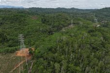 Sinergi Amankan Aset Negara, PLN UIP KLT Kolaborasi dengan Kantah Berau Perkuat Legalitas Tanah Tapak Tower Transmisi