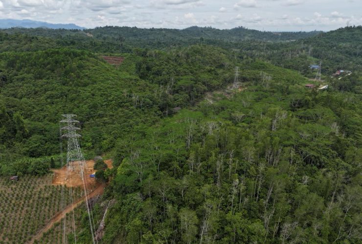 Sinergi Amankan Aset Negara, PLN UIP KLT Kolaborasi dengan Kantah Berau Perkuat Legalitas Tanah Tapak Tower Transmisi