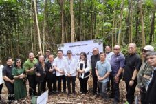 Hari Doa Nasional 2026 Ditutup di IKN, Penanaman Pohon Jadi Simbol Persatuan dan Kepedulian Lingkungan