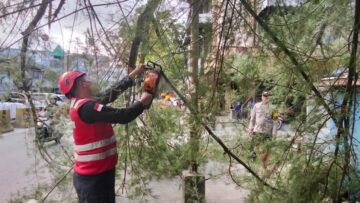 Brimob Polda Kaltim Sigap Evakuasi Pohon Tumbang di Jalan Soekarno Hatta Balikpapan