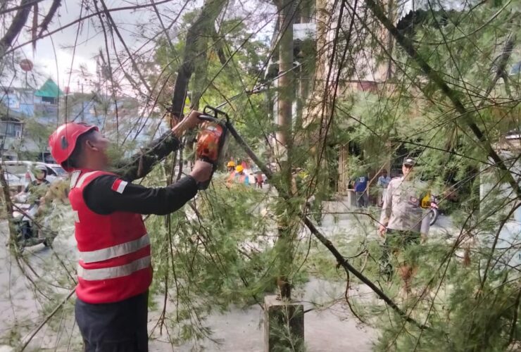 Brimob Polda Kaltim Sigap Evakuasi Pohon Tumbang di Jalan Soekarno Hatta Balikpapan