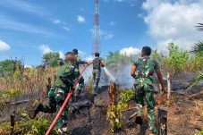 Brigif TP 85 Bergerak Cepat Padamkan Karhutla di Kutai Barat