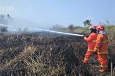 Karhutla Mengancam Kalimantan, Grup PHI Kerahkan Tim dan Peralatan Padamkan Titik Api