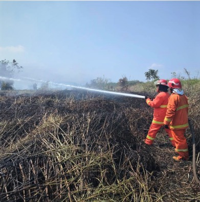 Karhutla Mengancam Kalimantan, Grup PHI Kerahkan Tim dan Peralatan Padamkan Titik Api