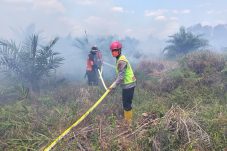 Brimob Kaltim Padamkan Karhutla di Lahan Gambut 5 Hektare di Paser