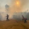 Karhutla Dekati Permukiman, Brimob Bergerak Cepat Amankan Lahan 5 Hektare di Berau