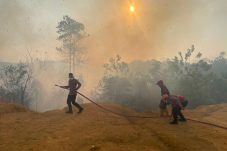 Karhutla Dekati Permukiman, Brimob Bergerak Cepat Amankan Lahan 5 Hektare di Berau