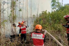 Karhutla Dekati Permukiman, Brimob Bergerak Cepat Padamkan 3 Hektare Lahan di Berau