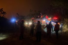 Karhutla Meluas di Kutai Barat, 100 Hektare Lahan Hutan Terbakar