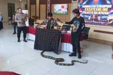 Polresta Balikpapan Bekali 50 Kasatkamling dengan Kemampuan Mitigasi dan Pemeliharaan Kamtibmas