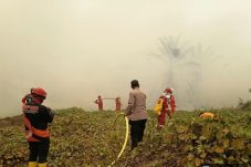 25 Hektare Lahan Eks PT PIS di Kutai Barat Terbakar, Api Dipadamkan Tim Gabungan