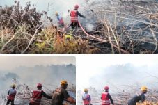 Sigap Tangani Kebakaran di Sendawar Raya, Tim Respon Bencana Kompi 2 Batalyon B Pelopor Amankan Lokasi