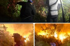 Karhutla 100 Hektare di Kutai Barat, Brimob dan Tim Gabungan Berjibaku Padamkan Api hingga Dini Hari
