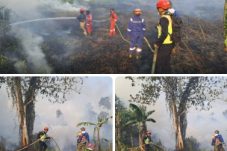 Lahan Gambut 10 Hektare Terbakar di Paser, Brimob Bergerak Cegah Api Merembet ke Perkebunan Warga
