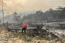 Brimob Kaltim Tangani Karhutla 5 Hektare di Teluk Bayur, Api Dekat Permukiman Warga