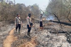Brimob Verifikasi Hotspot di Tahura Lati Petangis, Pastikan Dua Hektare Lahan Aman