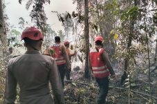 Karhutla 2 Hektare di Kutai Barat Berhasil Dipadamkan, Api Sempat Merambat ke Arah Permukiman