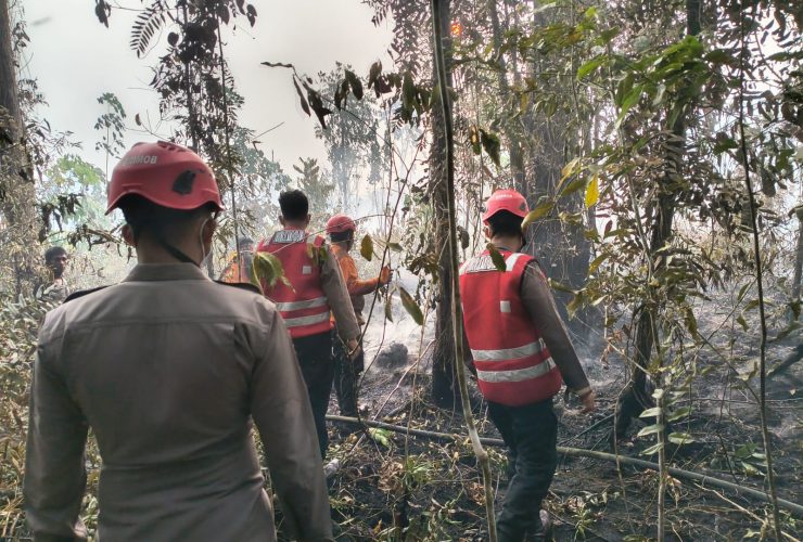 Karhutla 2 Hektare di Kutai Barat Berhasil Dipadamkan, Api Sempat Merambat ke Arah Permukiman